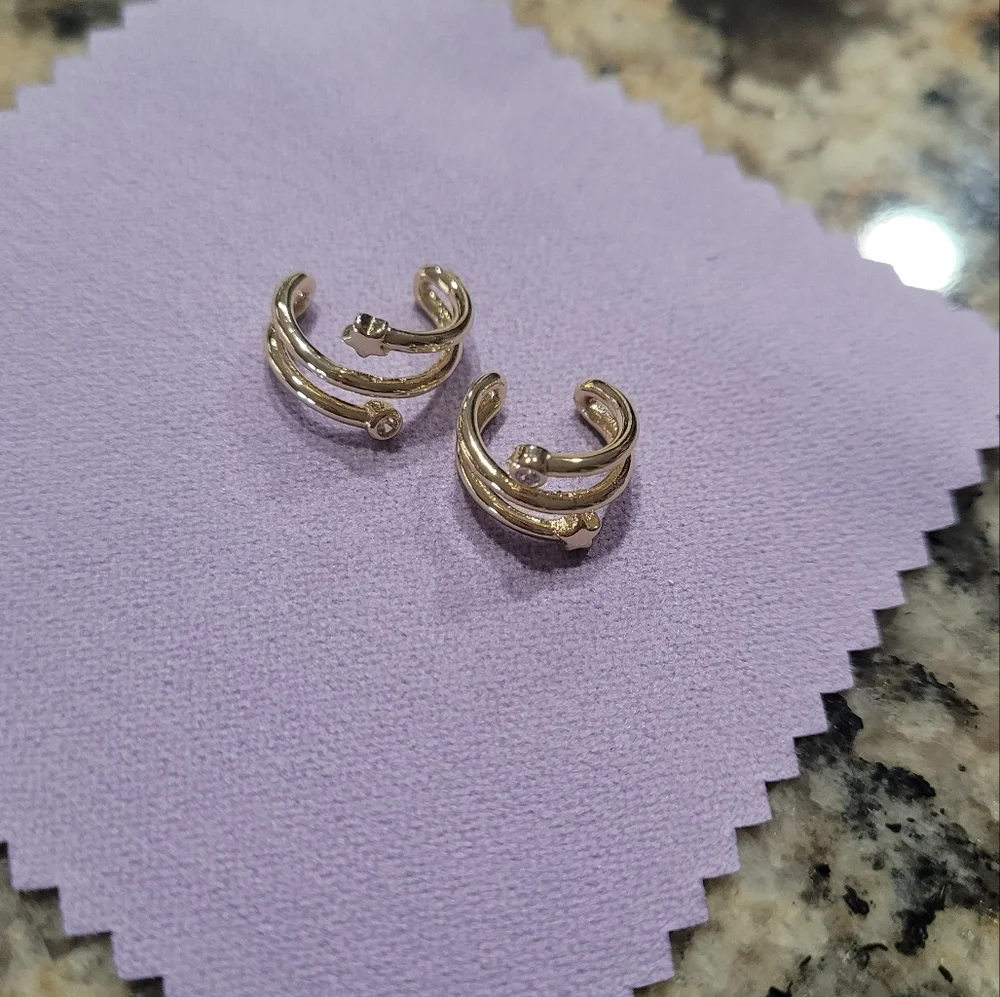 Earrings - Picture 1 of 5